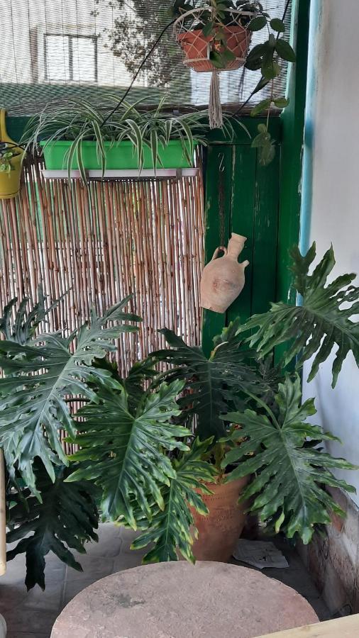 הבית הירוק - Green House Arad Ngoại thất bức ảnh